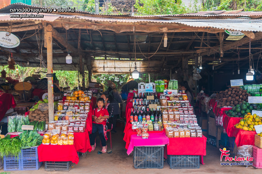 Hmong Market (Baan Khun Klang)